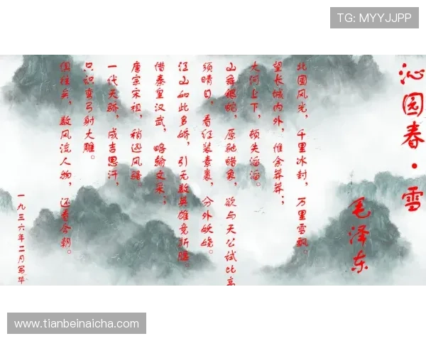 循着风月掠影片段探寻情感沉浮与世事交织的动人故事长卷 循着风月掠影片段探寻情感沉浮与世事交织的动人故事长卷