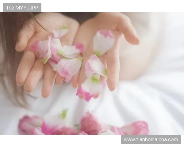 nello—邂逅“TheCove”，让静谧时光温柔流淌