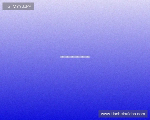 《闪点行动第二季》：当硝烟散尽，英雄的伤痕与坚韧