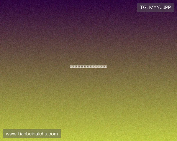 《功夫梦》主演：一段关于坚持、成长与梦想的不朽传奇