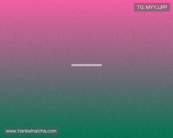 塔米的旅行：不止一次的遇见，不止一次的感动