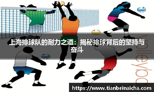 JJB竞技宝