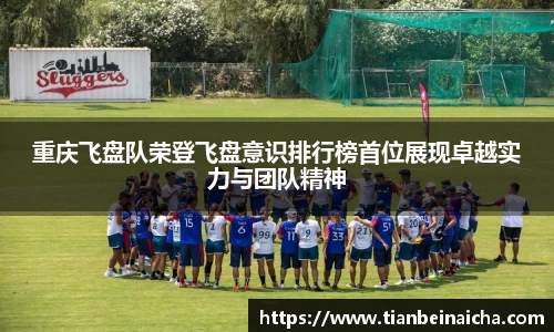 JJB竞技宝
