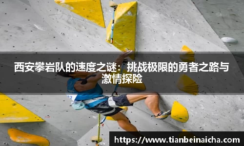 竞技宝