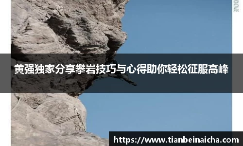 JJB竞技宝