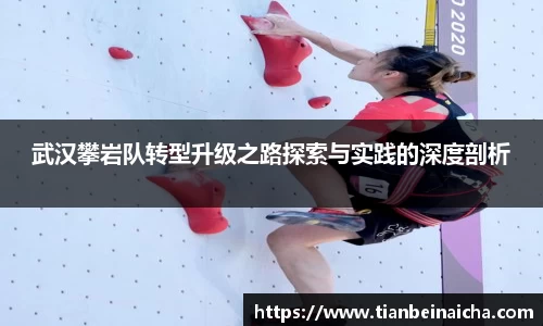 竞技宝