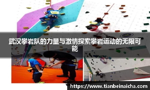 JJB竞技宝