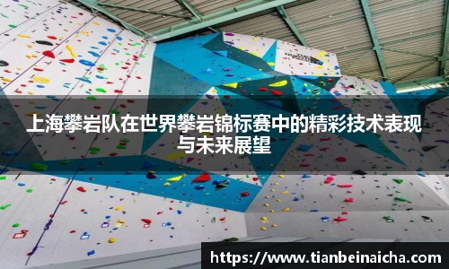 上海攀岩队在世界攀岩锦标赛中的精彩技术表现与未来展望