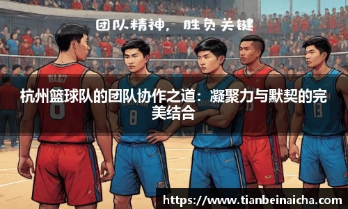 杭州篮球队的团队协作之道：凝聚力与默契的完美结合