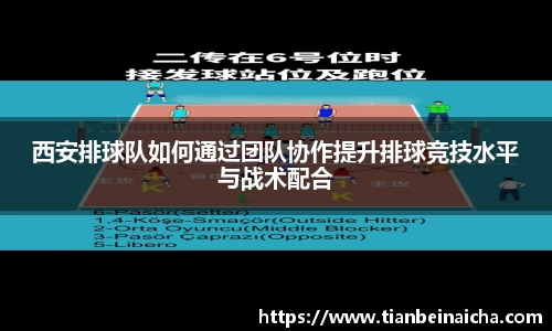 JJB竞技宝