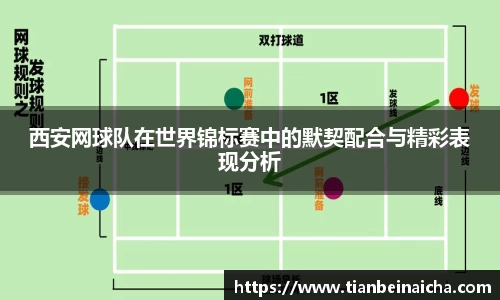 JJB竞技宝