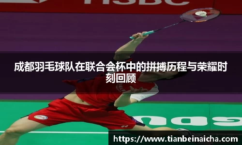 JJB竞技宝